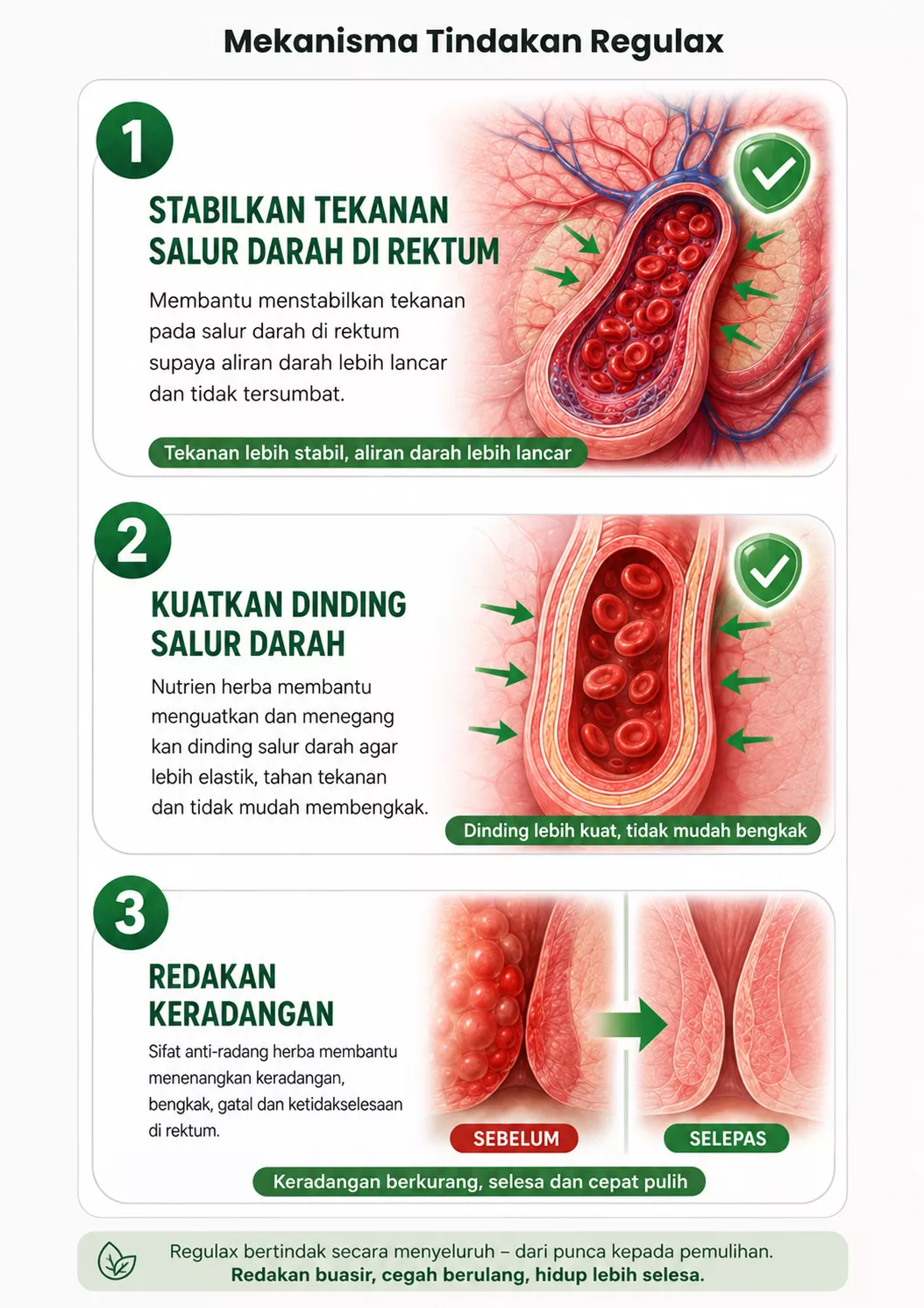 3 langkah cara kerja Regulax: menyerap air, melancarkan pergerakan usus, kurangkan tekanan salur dubur